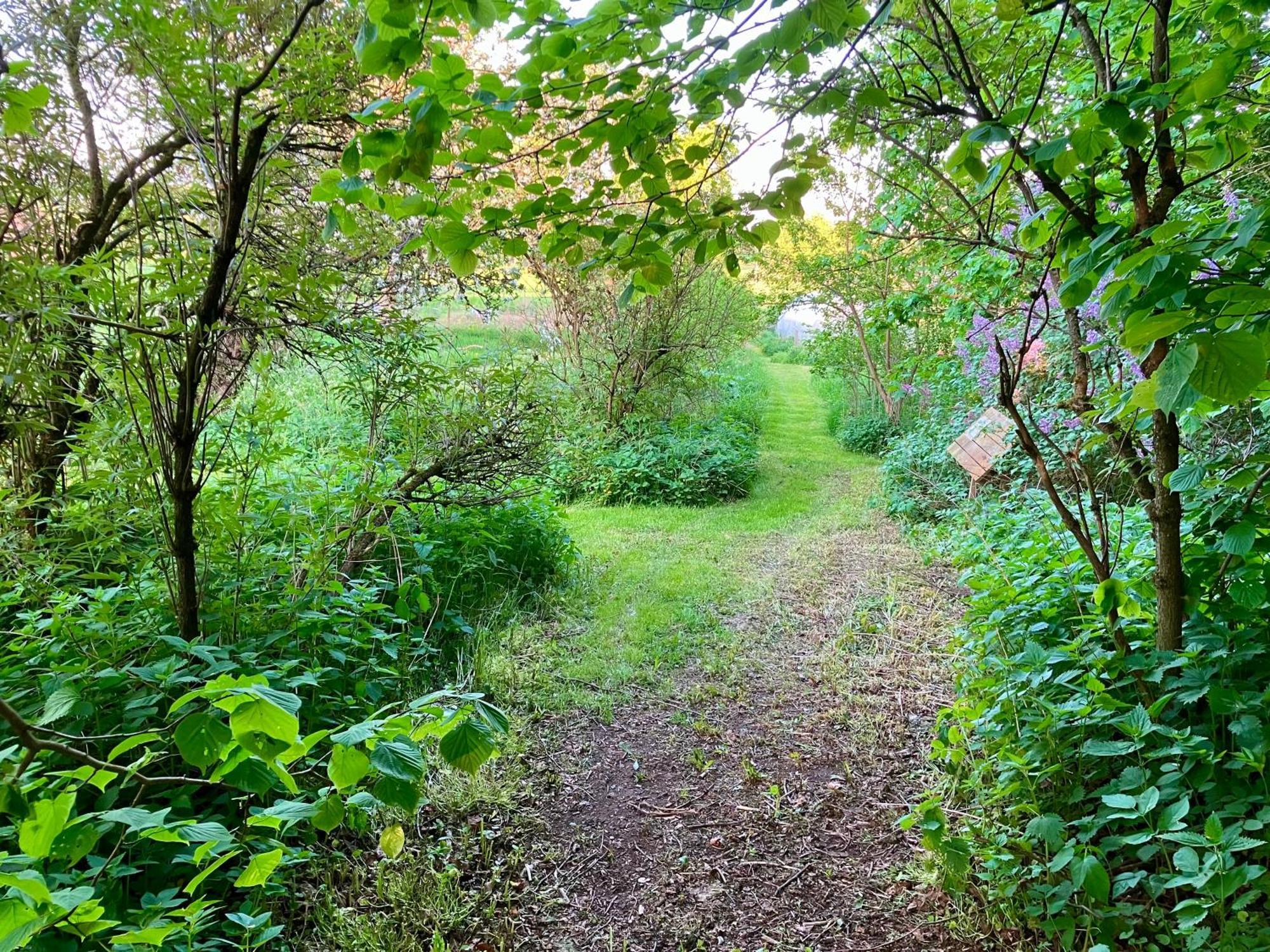 Lidhem Herrgard. Bed & Breakfast Och Mindre Laegenheter 维默比 外观 照片
