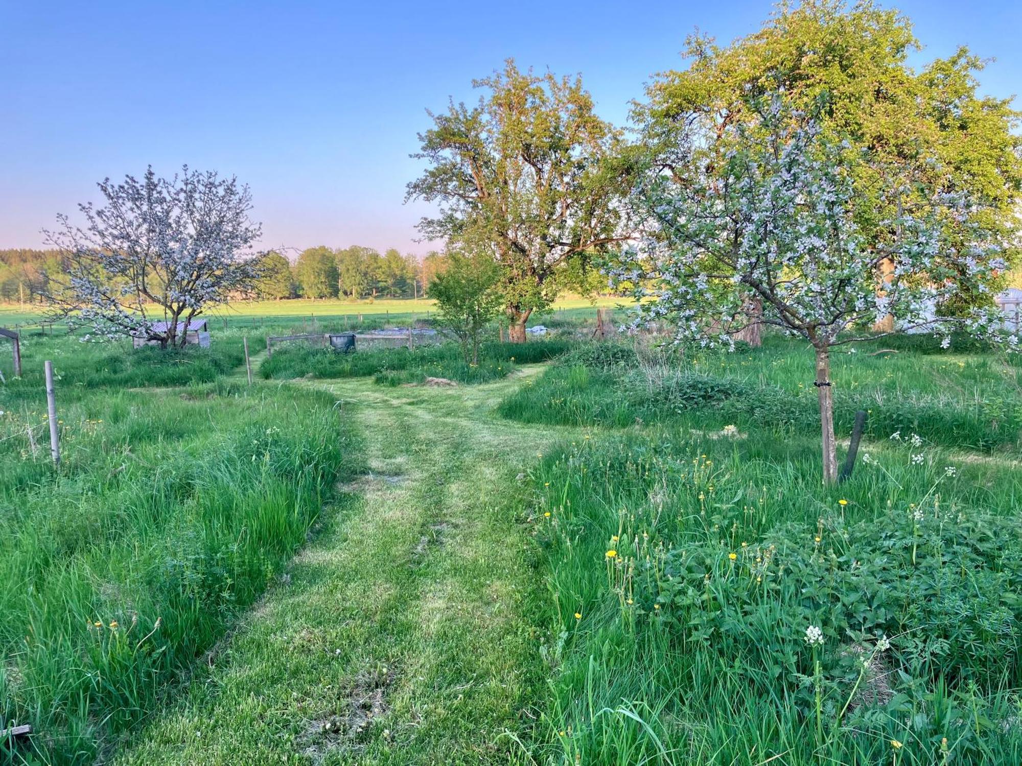 Lidhem Herrgard. Bed & Breakfast Och Mindre Laegenheter 维默比 外观 照片