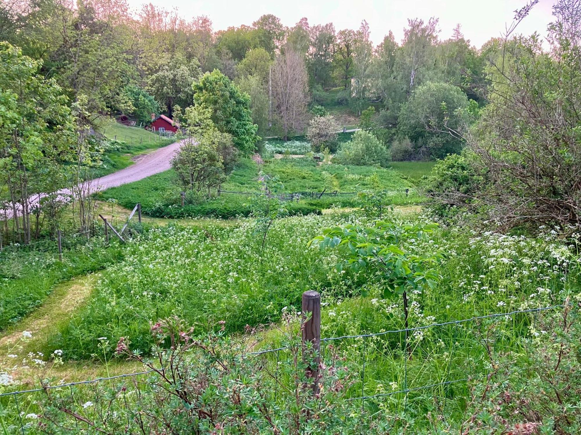 Lidhem Herrgard. Bed & Breakfast Och Mindre Laegenheter 维默比 外观 照片