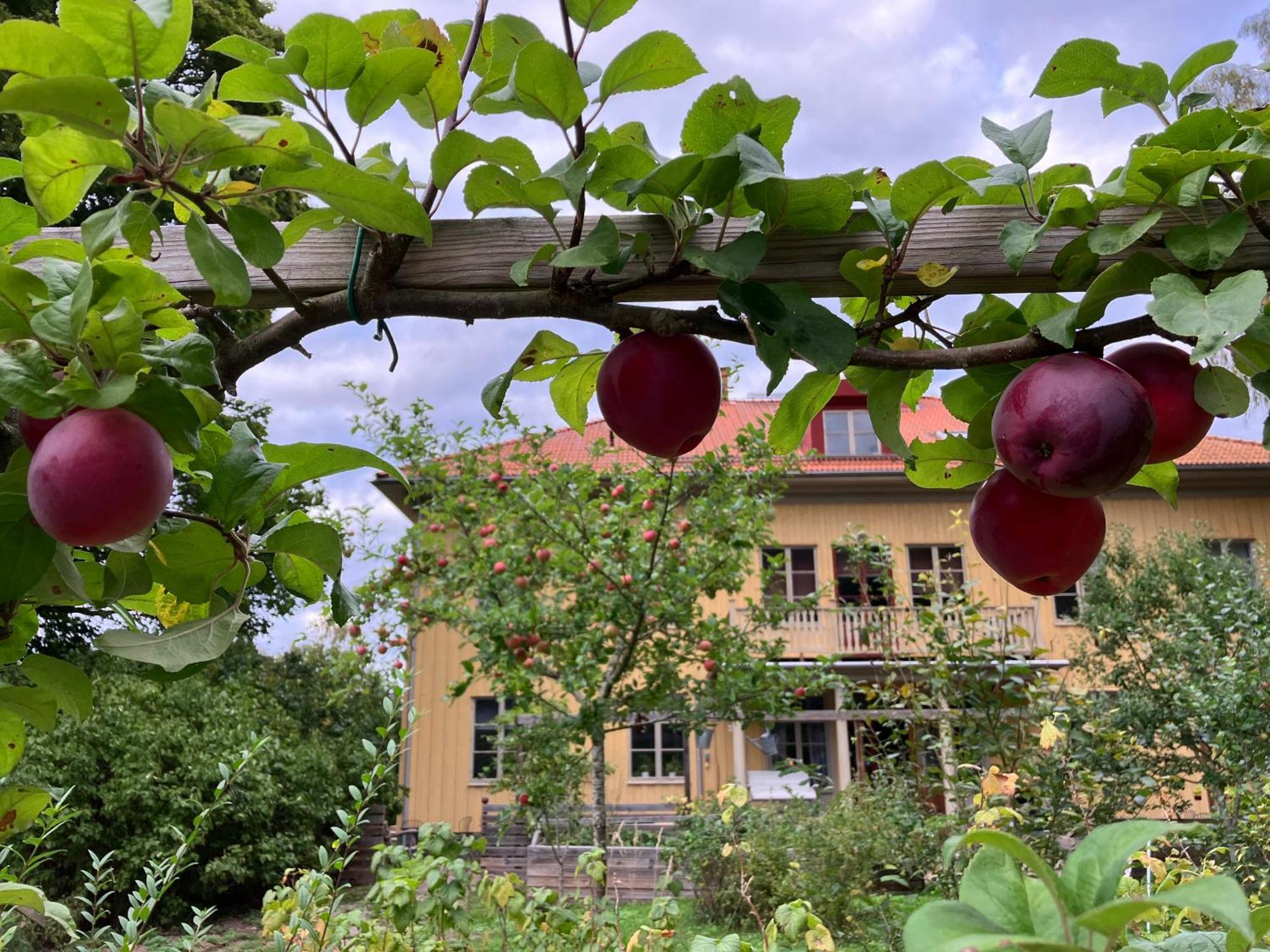 Lidhem Herrgard. Bed & Breakfast Och Mindre Laegenheter 维默比 外观 照片
